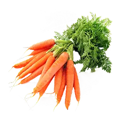 Carrot