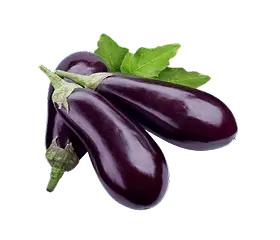 Eggplant