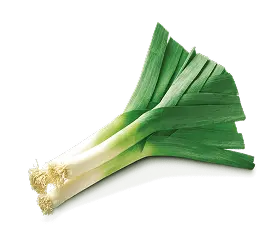 Leek