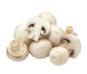 Mushrooms